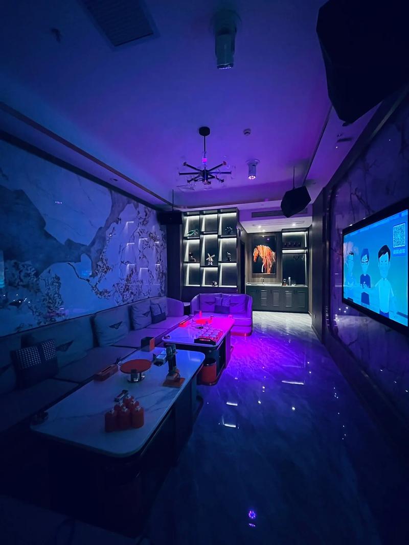 宜昌商务ktv预订指南-猇亭区ktv预定